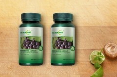 GRAPE SEED EXTRACT