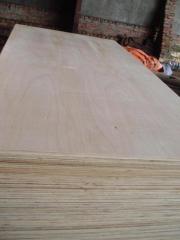 Acacia plywood Grade AB