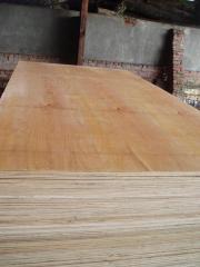 Keruing Plywood Grade AA