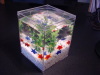 acrylic gift box