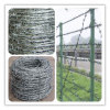 barbed wire