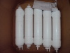 Post Carbon In-line Water Filter