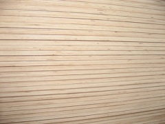 Keruing Plywood grade 3