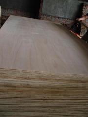 Hardwood Plywood Grade 3
