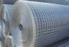 Electric Galvanized Welded Wire Mesh