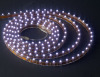 Led Flying Dragon Ribbon