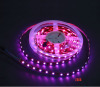 Led Chip RGB Ribbon