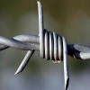 Protective barbed wire