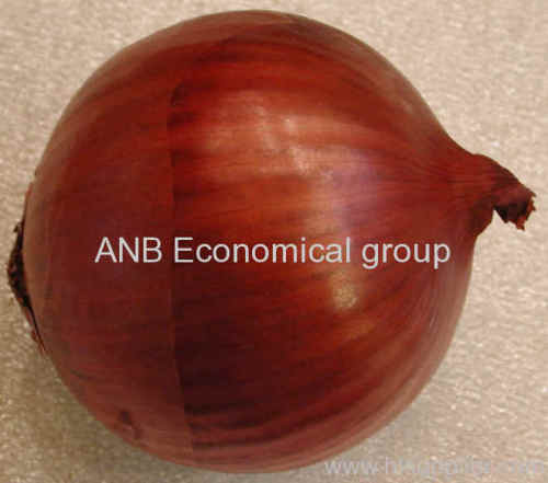 Onions (Red)