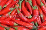 Fresh red hot chilli