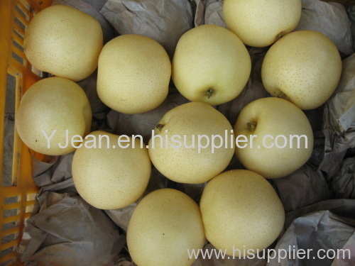 Golden pear