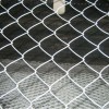 Galvanized chain link fence mesh