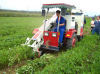 Groundnut combine harvester,self-propelled with 30hp tractor