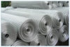 Galvanized welded wire mesh rolls