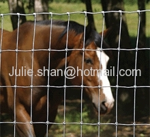 Grassland Wire mesh fence