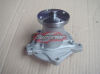 aw9105 Isuzu pickup water pump