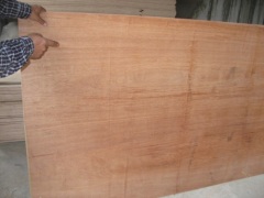 Plywood for making shuttering