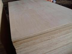 Keruing Plywood For Making Shuttering