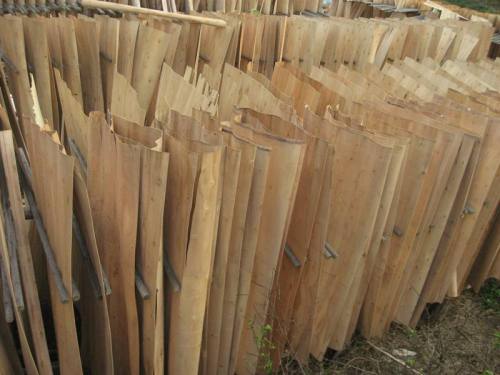 Timber Eucalyptus Core Veneer
