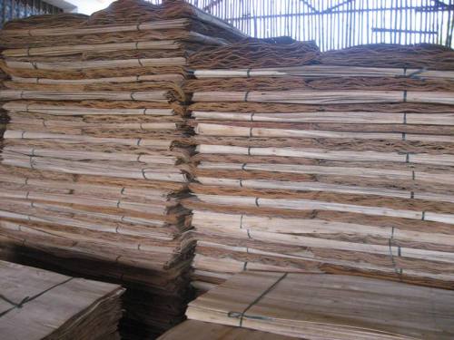 Acacia Plywood parking by pallets