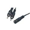 3.5MM STEREO JACK TO 2RCA