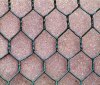 304 Stainless steel hexagonal net