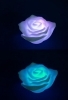 floating rose candle