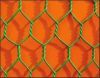 hexagonal wire mesh