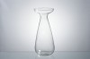 clear glass vase