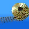 Coil umbrella roofing nails