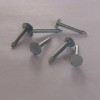 Stainless steel coil roofing nails