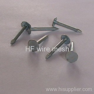 Stainless steel coil roofing nails