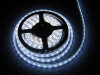 3528 white rgb led strip light