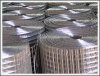 welded wire mesh