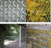Stainless steel diamond wire mesh
