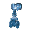 ELECTRIC ACTUATED GATE VALVE