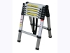 Telescopic Ladder