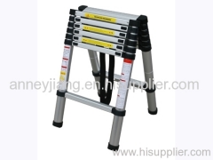 Telescopic Ladder