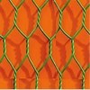 PVC coated iron hexagonal fence