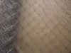 Galvanized chain link fence