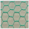 Protective hexagonal wire mesh