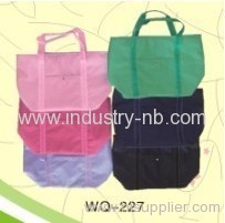 Cooler Bag