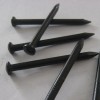 High quality black concrete nails