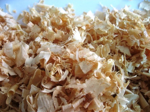Export Wood Shavings with high quality