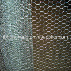 Hot sell hexagonal wire netting