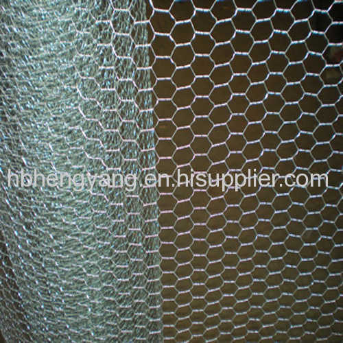 Hot sell hexagonal wire netting