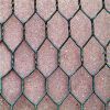 galvanized or PVC coated hexagonal wire mesh