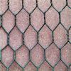 Hot dip galvanized poultry netting