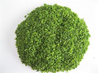 Seaweed(Ulva Lactucca)
