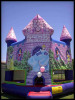 Disney Princess Bouncy Castle